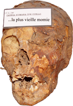 Chulina, the oldest mummy / photo: L. Dubal