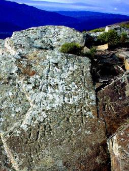 La Gardette s/C�ze, gneiss grav� / photo: L. Dubal